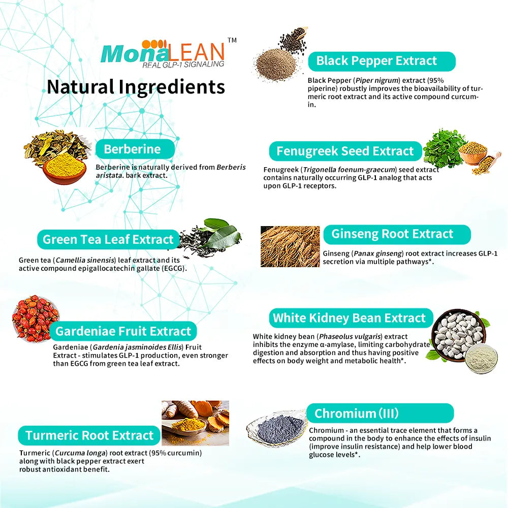 MonaLeanᵀᴹ: Plant-Powered GLP-1 Signaling Support Blood Sugar, Cravings, Body Fat Loss and Weight Loss Theramone Health
