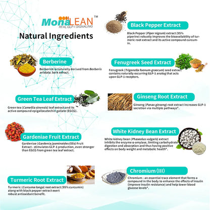 MonaLeanᵀᴹ: Plant-Powered GLP-1 Signaling Support Blood Sugar, Cravings, Body Fat Loss and Weight Loss Theramone Health